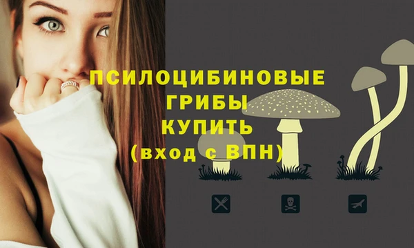 a pvp Михайлов