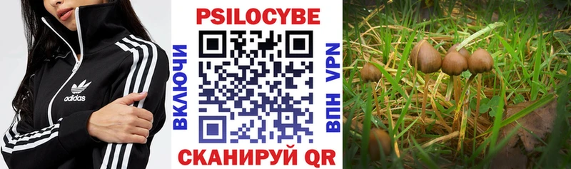 маркетплейс какой сайт  Нефтекумск  Псилоцибиновые грибы ЛСД  как найти закладки 