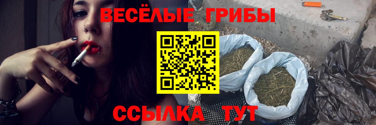 Галлюциногенные грибы Cubensis  Галлюциногенные грибы Psilocybe  Вход с VPN  Нефтекумск 