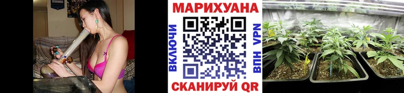 Каннабис сатива  купить наркоту  Нефтекумск 